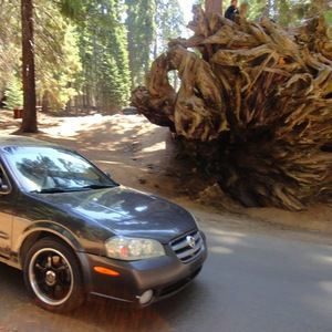 Meet your Posher, Nichole